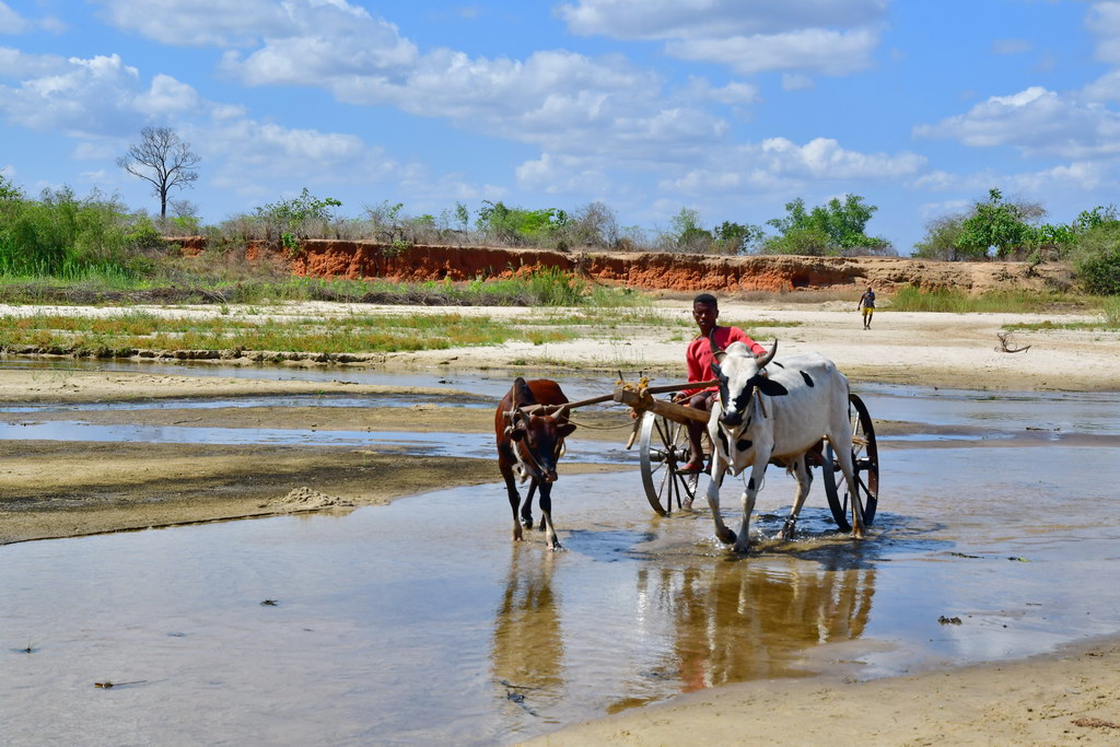 Morondava to Manja